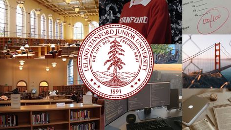 Stanford Moodboard, Stanford Aesthetic, Ivy Aesthetic, Stanford College, Stanford Law, Harvard Yale, Dream University, College Motivation, High School Kids