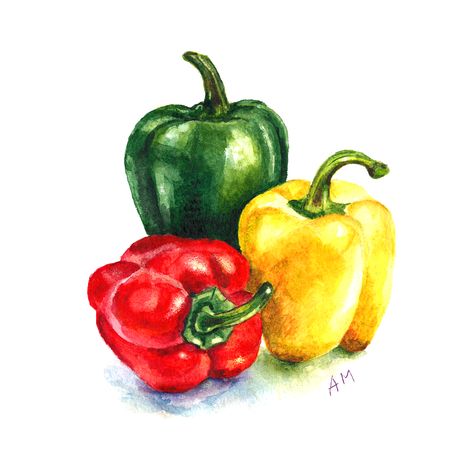 Random Painting Ideas, Random Painting Ideas On Canvas, Random Painting, Fruit Art Drawings, Vegetable Painting, Prismacolor Art, Watercolor Paintings Nature, Watercolor Fruit, Food Painting