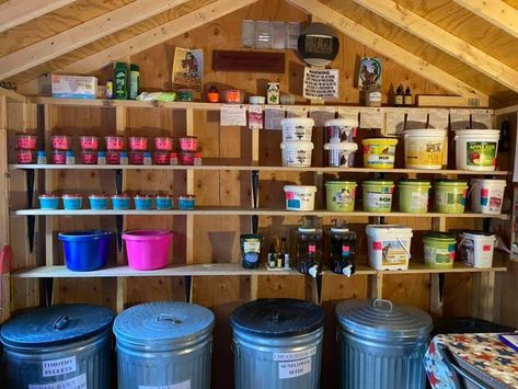 10x10 Shed Organization, Equine Tack Room Ideas, Tack Room Interior, Small Horse Tack Room Ideas, Livestock Feed Storage Ideas, Horse Tack Organization Ideas, Stable Organization Ideas, Horse Food Storage, Horse Boarding Ideas