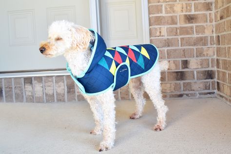 Dog Quilt Coat! Quilted Clothes, Patchwork, Quilt Coat Pattern, Quilted Coat Pattern, Quilted Jacket Pattern, Puffy Quilt, Pre Quilted Fabric, Dog Coat Pattern, Quilt Coat