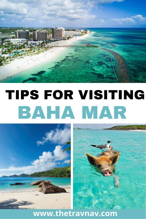 Are you thinking of heading to Baha Mar? Learn the ins and outs of Baha Mar from where to eat, where to stay, and what to do! Bahamas Excursions, Baha Mar, Atlantis Bahamas, Bahamas Vacation, Foreign Travel, Caribbean Vacations, The Bahamas, Island Travel, Winter Travel