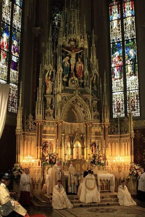 The most beautiful thing on earth..a taste of heaven.. The Catholic Mass. Christ King, Catholic Wallpaper, Traditional Catholicism, Catholic Altar, Church Aesthetic, Catholic Pictures, Catholic Churches, Cathedral Architecture, Gothic Church