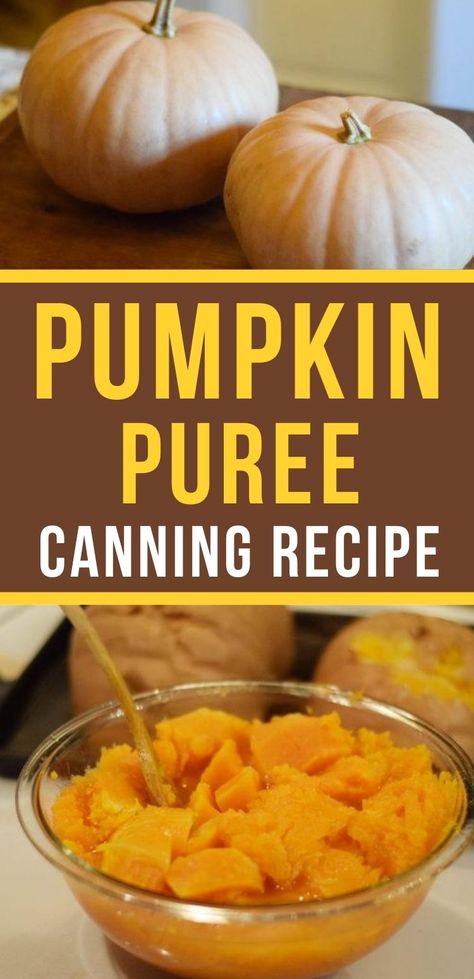 Freezing Fresh Pumpkin Puree, How To Pressure Can Pumpkin Puree, Homemade Pumpkin Pie Filling For Canning, How To Make Homemade Pumpkin Puree, Cooking Pumpkins For Pie, Diy Canned Pumpkin Puree, How To Preserve Pumpkin Puree, Fresh Pumpkin Butter Recipe Canning, Preserving Pumpkin Puree