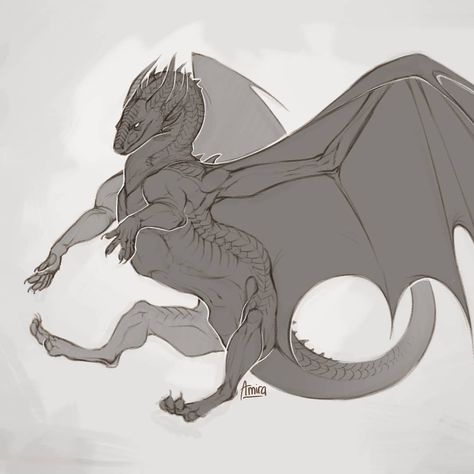 Dynamic Dragon Poses, Dragon Pose Reference, Dragon Laying Down, Dragon Poses Reference Drawings, Dragon Reference Pose, Dragon Reference Drawing, Dragon Body Reference, Dragon Front View, Dragon Design Concept