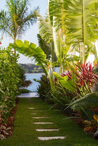 Tropical Landscape Design, Pictures, Remodel, Decor and Ideas Tropical Plants And Flowers, Tropical Backyard Landscaping, Design Per Patio, Tropical Landscape Design, British West Indies, Tropical Garden Design, Tropical Backyard, Boundary Walls, Tropical Gardens