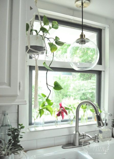 Plants Around Kitchen Window, Hanging Plants Above Kitchen Sink, Kitchen With Plants Decor, Kitchen Sink Plants, Plants For Kitchen Window, Hanging Plant Over Kitchen Sink, Kitchen Window With Plants, Plants Kitchen Window, Kitchen Window Plants Ideas