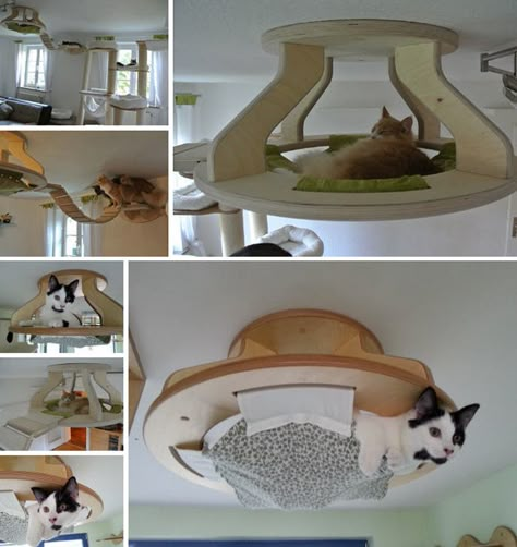 Katt Diy, Diy Chat, Cat Towers, Cats Diy Projects, Cat Playground, Cat Hammock, Cat Enclosure, Cat Shelves, Cat Things