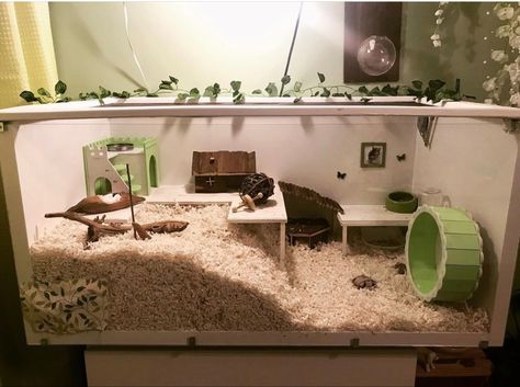 Linnmon hamster cage Fancy Hamster Cage, Hamster Cage Layout Ideas, Gerbil Tank Ideas, Hamster Fish Tank Cage, Niteangel Hamster Cage Setup, Good Hamster Cage, Cottage Core Hamster Cage, Modern Hamster Cage, Storage Bin Hamster Cage