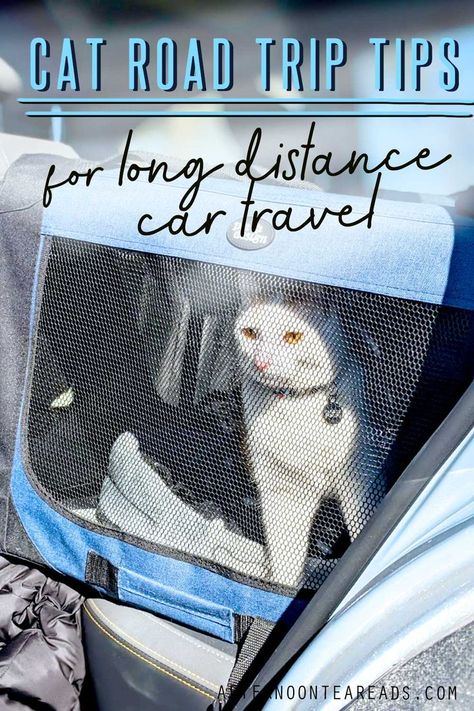 cat in a car in a carrier during a long distance road trip Cat In A Car, Road Trip Tips, Cat Travel Carrier, Canadian Road Trip, Camping With Cats, Cat Ownership, Adventure Cat, Road Trip Car, Cat Hacks