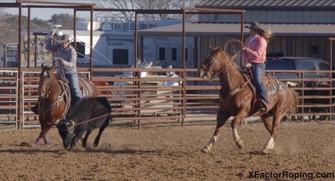 Adapt and Change Your Swing with Jackie Crawford. Jackie Crawford shares tips on being able to adapt and change your swing. Jackie Crawford Roping, Jackie Crawford, Breakaway Roping, Team Roping, You Changed, Horses