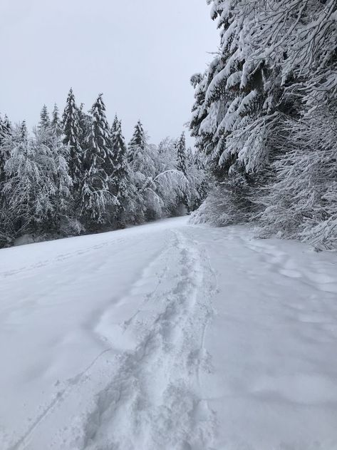 Ice Astethic, Winter Court, Body Flowers, Winter Board, Blue Widget, Christmas Nostalgia, Liminal Spaces, I Love Winter, Winter Love