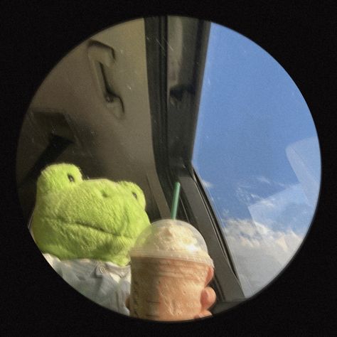 Green Profile Aesthetic, Frog Pfp Funny, Cute Frog Profile Pic, Weird Dp For Instagram, Spotify Account Profile Pic, Frog Aesthetic Pfp, Weird Profile Pics, Frog Profile Picture, Cute Frog Pfp