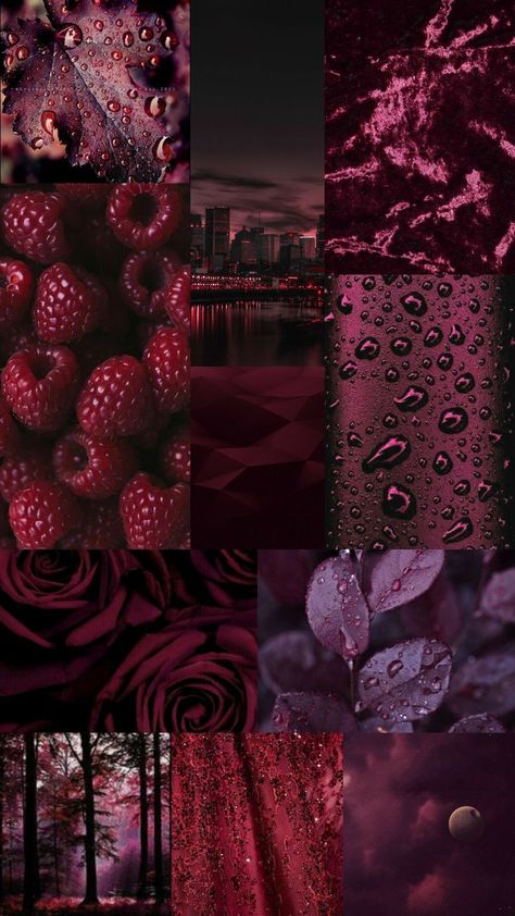 Hintergrundbild Weinrot | Iphone wallpaper themes, Aesthetic iphone wallpaper, Blue wallpaper iphone Maroon Aesthetic, Burgundy Aesthetic, Shattered Heart, Tie Collection, Men Tie, Color Schemes Colour Palettes, Character Inspo, Color Palette Design, Color Harmony