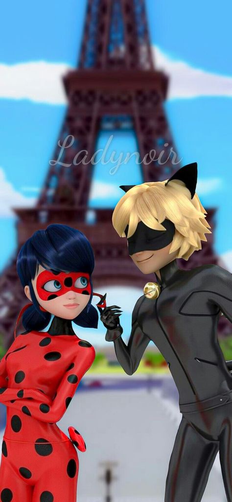 Ladybug E Catnoir, Ladybug Und Cat Noir, Ladybug And Cat Noir, Ladybug Wallpaper, Miraculous Ladybug Oc, Miraculous Wallpaper, Miraculous Ladybug Memes, Miraculous Ladybug Wallpaper, Miraculous Characters