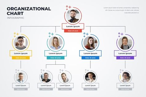 Organizational Chart Design Ideas, Organisation Chart, Organizational Chart Design, Timeline Infographic Design, Process Chart, Mind Map Design, Chart Infographic, Organization Chart, Org Chart