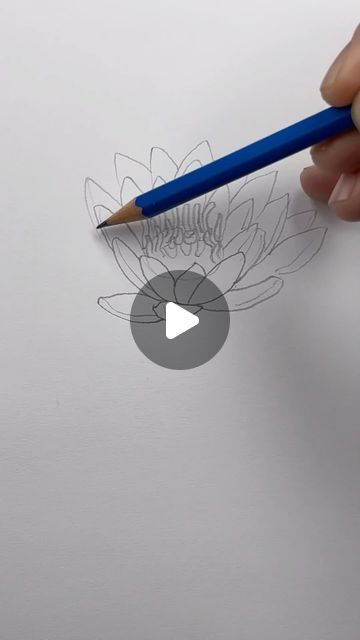 How To Draw Lotus, How To Draw A Lotus Flower, How To Draw Lotus Flower, Lotus Drawing Art, Pencil Flower Drawings, Draw A Lotus Flower, Water Sketch, Lotus Flower Drawing, Lotus Drawing