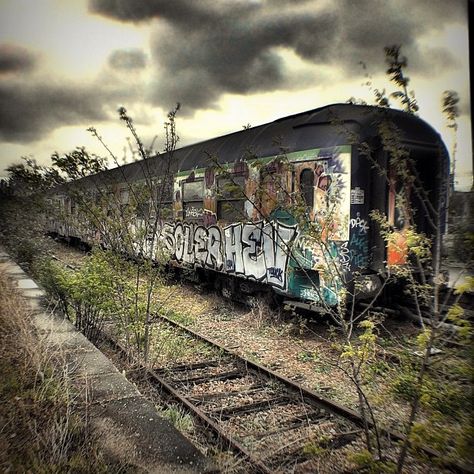 Abandoned Train Car, Abandoned Railway, Abandoned Trains, Abandoned Property, Row Houses, Abandoned Mansion, Forgotten Places, Train Cars, Abandoned Train