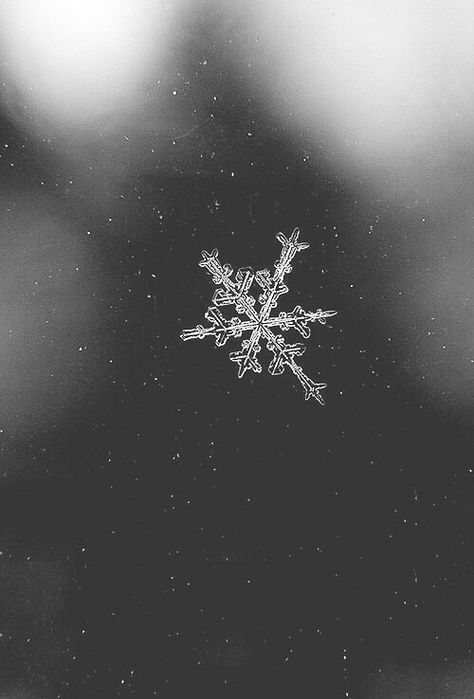 christmas-winter Frosted Window, Jolie Photo, Winter Aesthetic, Sleeve Tattoo, White Photo, Christmas Aesthetic, Christmas Wallpaper, Yule, White Photography