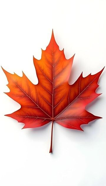 A picture of a maple leaf with the word quot autumn quot on the bottom | Premium AI-generated image Drawing Maple Leaves, Autumn Maple Leaves, Maple Leaf Aesthetic, Maple Leaf Images, Fall Maple Leaves, Mermaid Eyes, Leaves Tattoo, Leaf Photo, Environment Reference