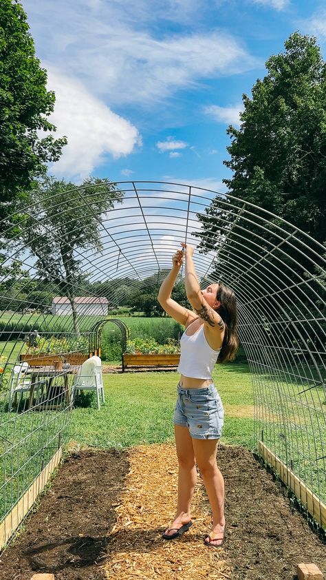 Cattle Panel Hoop Coop, Vegetable Garden Netting Ideas, Cattle Panel Hoop House Greenhouse, Garden Green House Ideas, Cattle Panel Tunnel, Cattle Panel Coop, Garden Greenhouse Diy, Cow Fence Trellis, Diy High Tunnel Greenhouse