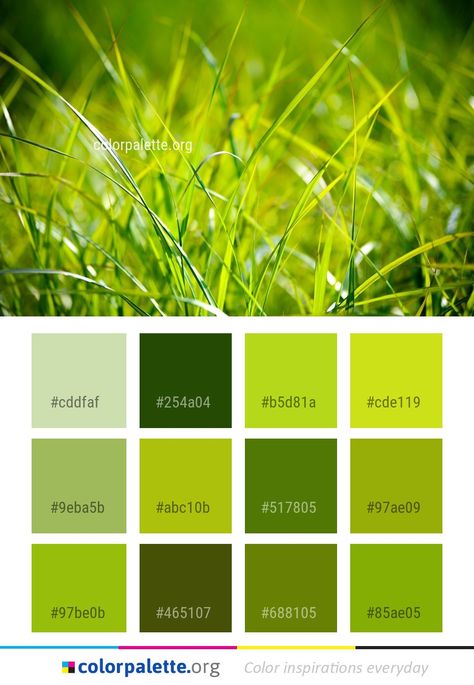 Grass Color Palette, Photography Color Palette, Graphics Design Inspiration, Colors Inspiration, Artist Tips, Green Colour Palette, Website Design Layout, Green With Envy, Photography Color