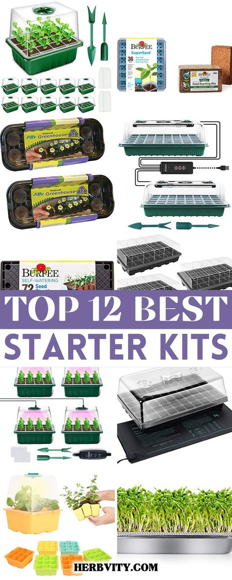 Did you know that using the best seed starter kits increases the chances of successful seed germination and seedling growth? Our 13 recommendations for the best starter kits can help you get started with your journey. Seed Starter Kit, Best Starters, Seed Starter, Seed Germination, Organic Gardening Tips, Indoor Gardening, Apartment Garden, Propagating Plants, Growing Herbs