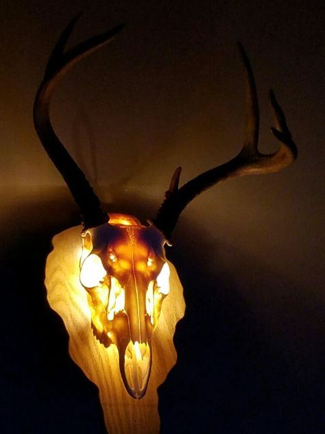 Deer Skull Light, Deer Skull Lamp, Hunting Mounts, Deer Mount Ideas, Deer Head Decor, Detailed Wall, Deer Skull Art, Skull Ideas, Cow Skull Decor