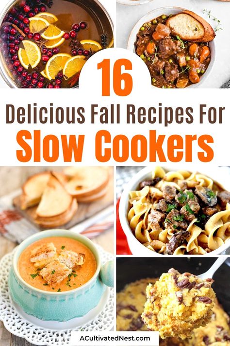 Slow Cooker Fall Recipes, Slow Cooker Pork Belly, Fall Slow Cooker, Fall Slow Cooker Recipes, The Best Pumpkin Bread, Best Pumpkin Bread, Slow Cooker Turkey Chili, Pork Chops And Gravy, Slow Cooker Lamb