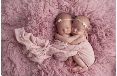 Twin Babies Pictures, Newborn Twin Photos, Twin Baby Photography, Twin Baby Photos, Twin Photography, Babies Photography, Twin Baby Girls, Children Photography Poses, Newborn Photography Poses