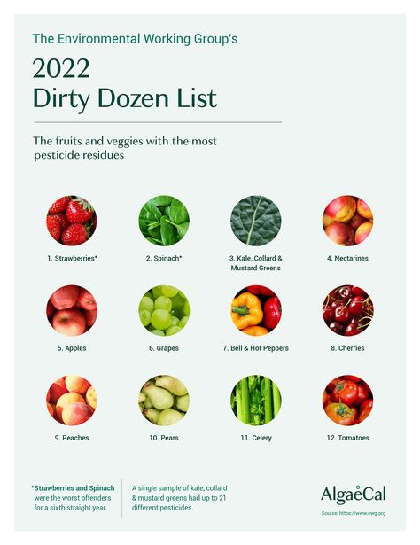 2022 Dirty Dozen and Clean Fifteen Lists - And the Impact on Bone health! The Dirty Dozen, Dirty Dozen, Food Education, Organic Diet, Mustard Greens, Nutrient Dense Food, Food Facts, Bone Health, Easy Vegetarian