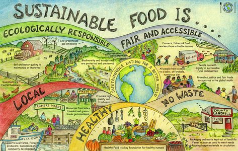 Great Foods Poster Food Justice, Sustainable Food Systems, Adolescent Health, Food Program, Food Web, Food System, Local Farmers Market, Food Security, Sustainable Food