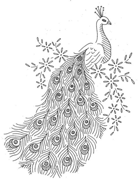 Peacock Peacock Drawing, Peacock Pattern, White Drawing, Embroidery Transfers, Pola Sulam, Embroidery Patterns Vintage, Paper Embroidery, Quilling Patterns, Hand Embroidery Pattern