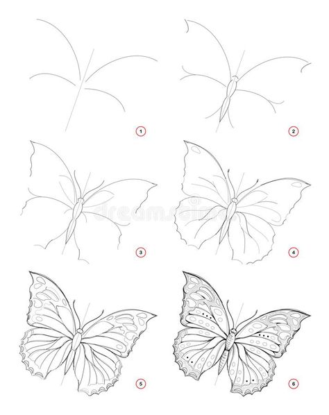 How To Draw Sketch of Beautiful Fantastic Butterfly. Creation Step by Step Pencil Drawing. Education for Artists. Stock Vector - Illustration of activity, pencil: 168843768 Butterfly Art Drawing Sketches, How To Draw Filigree Step By Step, How To Draw A Butterfly Step By Step, Sketches Of Butterflies, Flower Art Drawing Sketches, Butterfly Drawing Step By Step, Butterfly Step By Step Drawing, Sketches Of Flowers, Creation Drawing