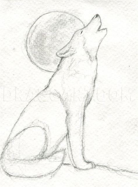 Wolf Art Drawing, Drawing Of A Wolf, Wolf Drawing Easy, Wolf Sketch, Regnul Animal, Easy Animal Drawings, Desen Realist, Animal Drawings Sketches, Wolf Drawing