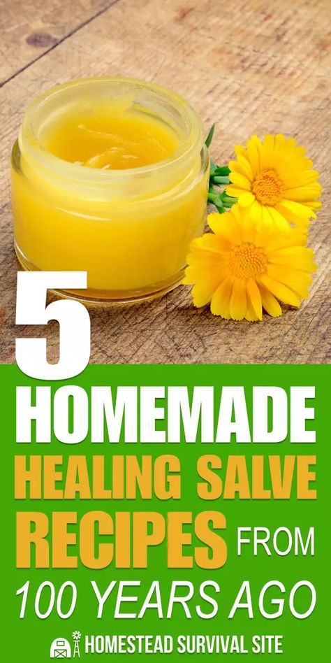 Learning how to heal injuries with herbs, healing salves, and other items is a fundamental skill for any homesteader. #homesteadsurvivalsite #healingsalves #homemade #homeremedies #naturalmedicine Homemade Healing Salve, Healing Salve Recipe, Salve Recipes, Herbal Salves, Healing Salves, Boho Lifestyle, Natural Healing Remedies, Natural Therapy, Homemade Remedies