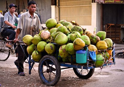 Coconut seller by the Olympic market. Memory Drawing, Street Pics, Phnom Penh, Vietnam Travel, Cambodia, Vietnam, Art Collection, Coconut, Composition