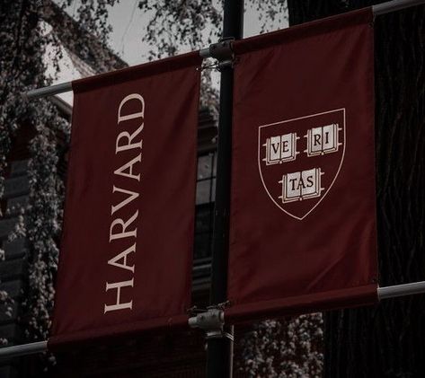 Harvard Campus Aesthetic, Harvard Law Aesthetic, Harvard Aesthetic Wallpaper, Harvard Medical School Aesthetic, Harvard Law School Aesthetic, Harvard Student Aesthetic, Harvard University Aesthetic, Harvard Graduation, Harvard Aesthetic