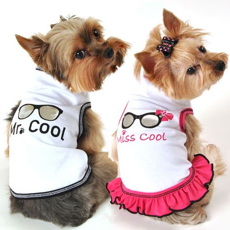 COOL New Spring & Summer Arrivals at Daisey's Doggie Chic.. Lookin' Good! Cool Tank Tops, Dogs Accessories, Cool Shades, Dog School, Best Tank Tops, Dog Clothing, White Charcoal, Pet Fashion, Dog Costumes