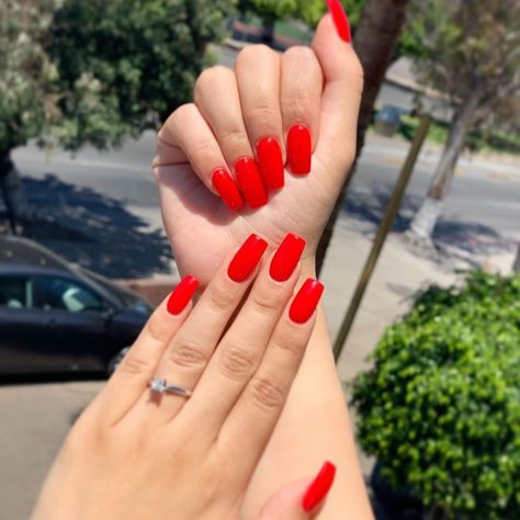 DND Gel Official on Instagram: “Lady in Red #632 💃 .⁣ .⁣ .⁣ Photo Credit 📸: @nailsbyliz18⁣ .⁣ .⁣ .��⁣ #dndgelpolish #dndgel #dndpolish #rednails #redacrylicnails…” Red Nail Varnish, Candy Apple Red Nails, Apple Red Nails, Bright Red Nail Polish, Dnd Nail Polish, Bright Red Nails, Dnd Gel Polish, Red Acrylic Nails, Nails Now