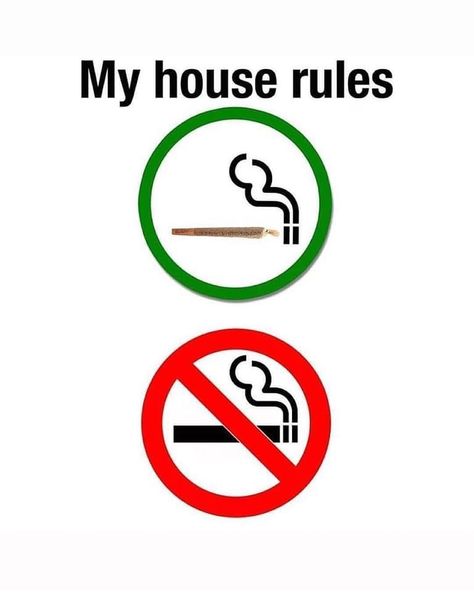 My House Rules, High Quotes, Rauch Fotografie, Happy 4 20, High Jokes, Wax Pot, House Rules, Puff And Pass, What’s Going On