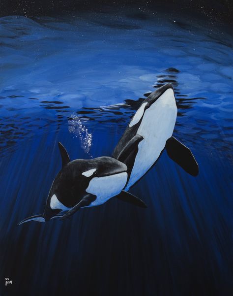 Hi everyone! This is a printable download of an acrylic painting made by me titled: Do orcas watch the stars? The print can be printed up to 22 x 28 inches in 200 dpi. I suggest canvas to make the finish look as real as the original painting. I am building a collection of ocean life paintings from which I will send 50% of all profits in donation for whales protection. I loved whales, especially Killer whales, from my childhood and always wanted to provide help in the way I could. So let's help t Orca Painting, Orca Art, Watch The Stars, Whale Painting, Shark Drawing, Whale Art, Orca Whales, Life Paintings, Painting Digital