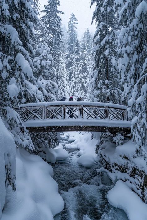 "❄️🏞️ Experience the magic of a winter wonderland in Whistler, Canada! From powdery snow to cozy lodges, discover everything you need for the perfect snowy escape. Swipe for your next snowy adventure! ⛷️🌨️ #Whistler #WinterWonderland #SnowFun" Winter In Alaska, Canada Aesthetic Winter, Whistler Aesthetic, Whistler Canada Winter, Cold Winter Aesthetic, Canada Wonderland, Aesthetic Winter Wonderland, Canada Vibes, Whistler Winter