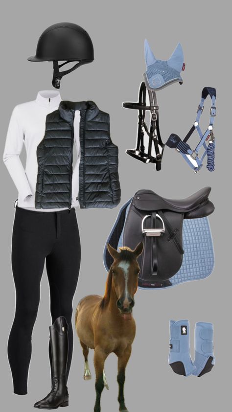 English Riding Outfit Equestrian, Horseback Riding Outfit Winter, English Equestrian Outfits, Equestrian Outfits Winter, Winter Horse Riding Outfit, Horse Riding Outfit Winter, Winter Riding Outfits, Horse Riding Outfit Equestrian Fashion, Cute Horse Riding Outfits