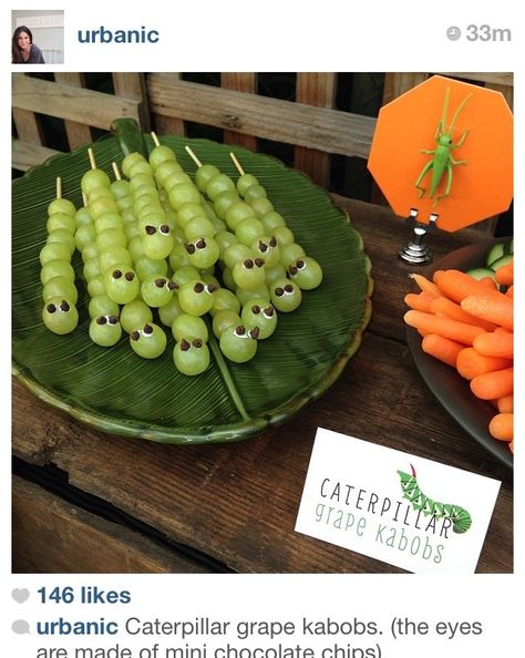 Nature Theme Birthday Party, Lizard Party, Bug Snacks, Shrek Party, Jungle Theme Birthday Party, Reptile Party, Jungle Thema, Wild Birthday Party, Lion King Birthday