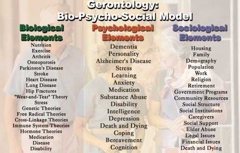 Gerontology: Bio-Psycho-Social Model Geriatric Social Work, Gerontology Social Work, Social Worker Resources, Biopsychosocial Model, Social Work Exam, Geriatric Occupational Therapy, Blue Moo, Geriatric Care, Social Work Practice