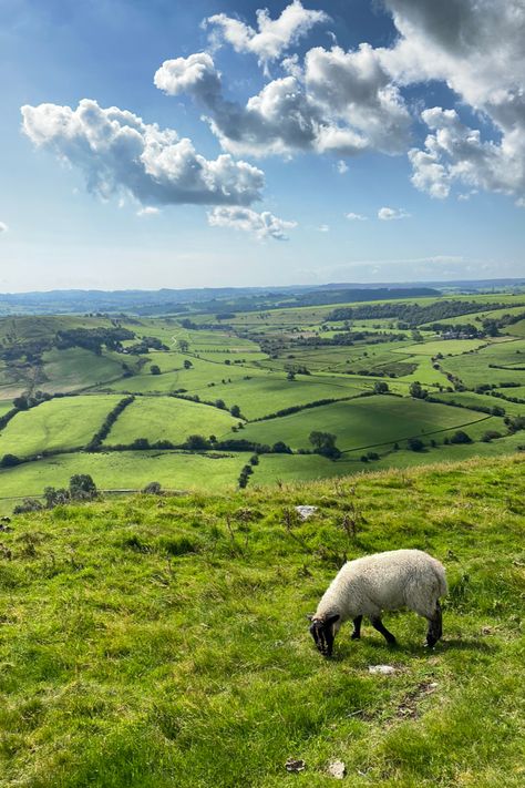 Football Team Wallpaper, Sheep Photography, England Castle, Countryside Photography, Reading Shakespeare, Europe Honeymoon, Travel Aesthetics, England Countryside, Landscape Photography Nature