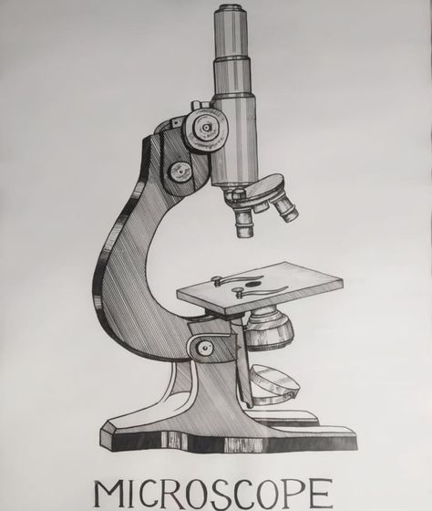 Biology Chart- Structure Of Microscope. Compound Microscope Drawing With Label, Compound Microscope Drawing, Microscope Drawing With Label, Microscope Sketch, Microscope Drawing, Compound Microscope, Microscope Parts, Science Textbook, Japanese Wallpaper