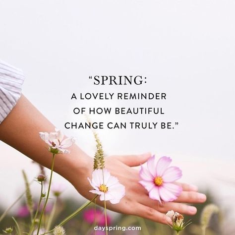 93 Spring Quotes Youre Going To Love Immediately 77 Springtime Quotes, Spring Quotes, Fina Ord, Garden Quotes, Flower Quotes, Spring Inspiration, Nature Quotes, Hello Spring, A Quote