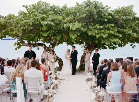 One of the prettiest ceremony beach venues we ever did see! St. Thomas weddings with beach and trees. Photo: Sylvie Gil Ritz Carlton St Thomas, Tropical Wedding Venue, St Thomas Wedding, Tropical Wedding Reception, Waterfront Wedding Ceremony, St Thomas Virgin Islands, Tropical Wedding Inspiration, Saint Thomas, Beach Ceremony