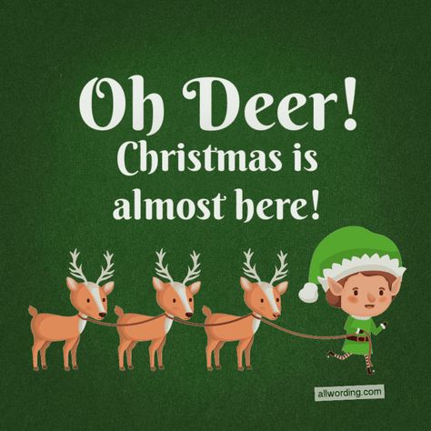 Reindeer Sayings, Almost Christmas Quotes, Reindeer Quotes, Rudolph Quote, Deer Quotes, Cute Christmas Quotes, Baby Christmas Crafts, Xmas Quotes, Funny Deer